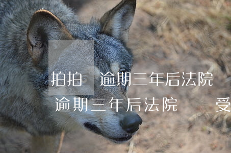 拍拍貸逾期三年后法院還會受理嗎-拍拍貸逾期三年后法院還會受理嗎是真的嗎