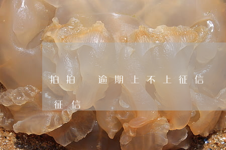 拍拍貸逾期上不上征信嗎(拍拍貸逾期上不上征信嗎)