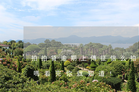 拍拍貸逾期上傳征信么 拍拍貸逾期會上征信嗎?看完你就知道!