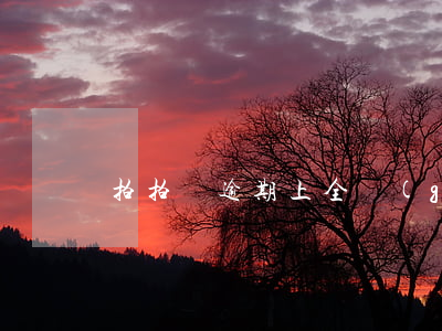 拍拍貸逾期上全國(guó)黑名單