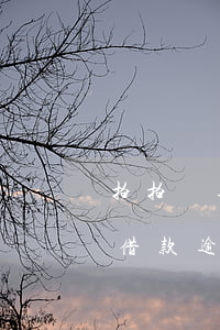 拍拍貸逾期不上門(mén)怎么辦(拍拍貸借款逾期600多天找上門(mén)了怎么樣)