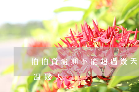 拍拍貸逾期不能超過幾天(拍拍貸逾期不能超過幾天)