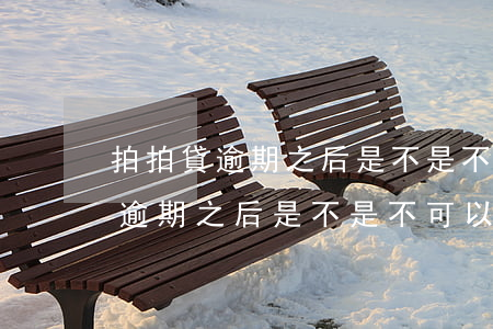 拍拍貸逾期之后是不是不可以用了-拍拍貸逾期之后是不是不可以用了呢