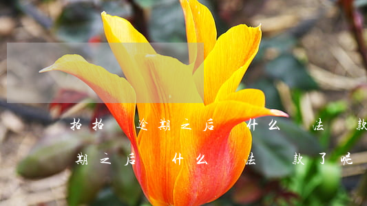 拍拍貸逾期之后為什么沒法還款-拍拍貸逾期之后為什么沒法還款了呢