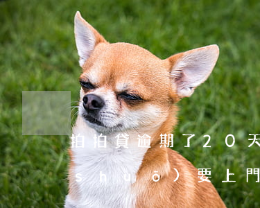 拍拍貸逾期了20天(拍拍貸逾期20天說(shuō)要上門(mén)是真的嗎?)
