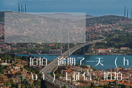 拍拍貸逾期了一天會(huì)怎樣,會(huì)上征信嗎?（拍拍貸全面逾期一天了怎么還款）