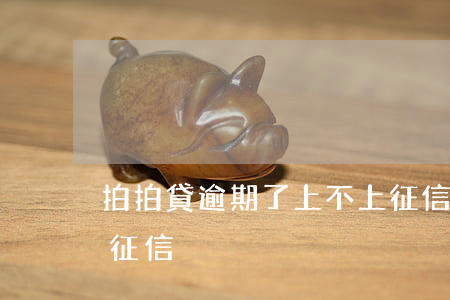 拍拍貸逾期了上不上征信(拍拍貸到底上不上征信?)