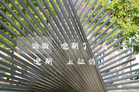 拍拍貸逾期了兩天會不會征信有影響（拍來貸逾期會上征信嗎）