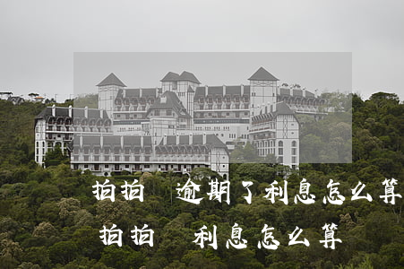 拍拍貸逾期了利息怎么算(拍拍貸利息是多少 拍拍貸利息怎么算)