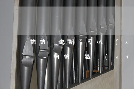拍拍貸逾期了可以協(xié)商減免利息嗎-拍拍貸能協(xié)商減免嗎