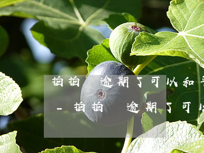 拍拍貸逾期了可以和平臺協(xié)商嗎-拍拍貸逾期了可以和平臺協(xié)商嗎