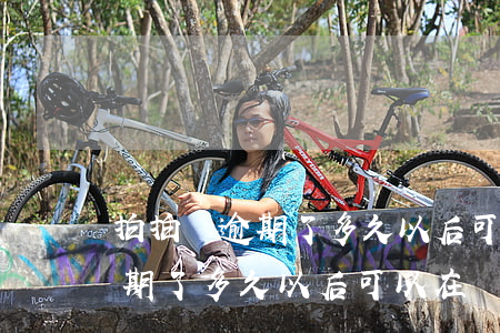 拍拍貸逾期了多久以后可以在貸-拍拍貸逾期了多久以后可以在貸款買房