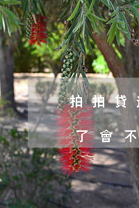 拍拍貸逾期了幾天會怎樣(拍拍貸逾期三個月了會不會起訴我2020)