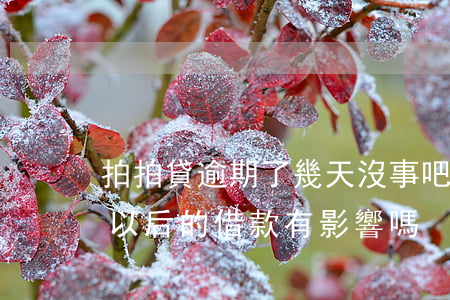 拍拍貸逾期了幾天沒事吧(拍拍貸逾期兩天對以后的借款有影響嗎)