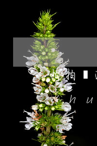 拍拍貸逾期了幾天還上后(拍拍貸逾期兩天會(huì)怎么樣?拍拍貸逾期后果介紹)