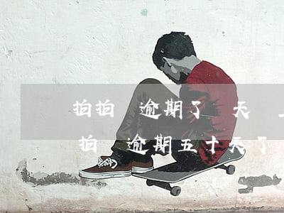 拍拍貸逾期了幾天還上后,還可以再貸款嗎?（拍拍貸逾期五十天了）