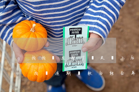 拍拍貸逾期了幾天還上后,還可以再貸款嗎，拍拍貸逾期還款后能否再次申請貸款？