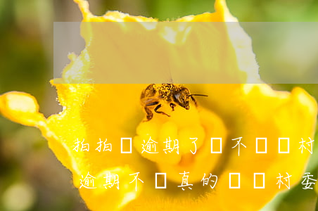 拍拍貸逾期了會不會來村里貼告示-拍拍貸逾期不還真的會給村委會下通知嗎