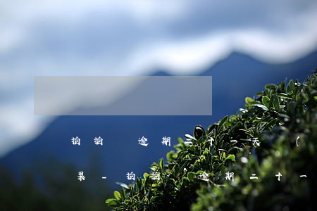拍拍貸逾期二十一天會(huì)有什么后果-拍拍貸逾期二十一天會(huì)有什么后果嗎
