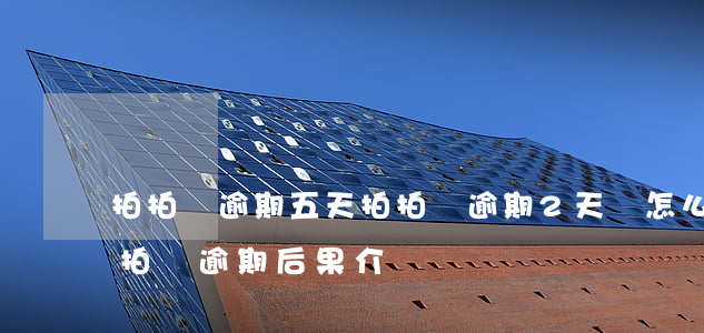 拍拍貸逾期五天(拍拍貸逾期2天會怎么樣?拍拍貸逾期后果介紹)