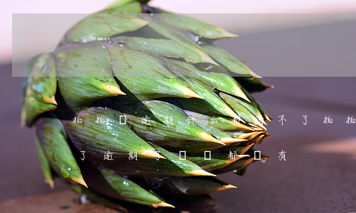 拍拍貸逾期什么都借不了(拍拍貸是不是倒閉了逾期了電話都沒有)
