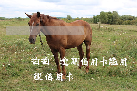 拍拍貸逾期信用卡能用嗎(拍拍貸逾期可以辦理信用卡嗎)