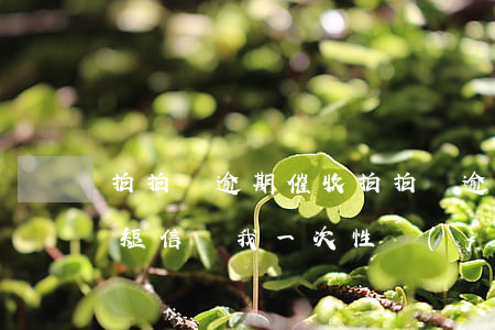 拍拍貸逾期催收 拍拍貸逾期催收發(fā)短信讓我一次性結(jié)清