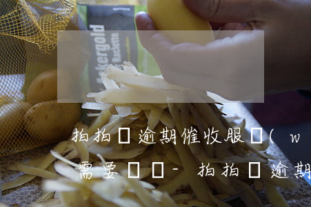拍拍貸逾期催收服務(wù)費(fèi)需要還嗎-拍拍貸逾期催收服務(wù)費(fèi)需要還嗎是真的嗎