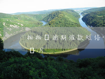 拍拍貸逾期催款短信-拍拍貸逾期催款短信圖片