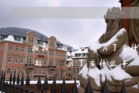 拍拍貸逾期兩個月了有什么事嗎-拍拍貸逾期兩個月了有什么事嗎怎么辦