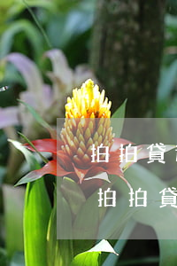 拍拍貸逾期兩年了還發(fā)短信威脅-拍拍貸逾期兩年了還發(fā)短信威脅我怎么辦