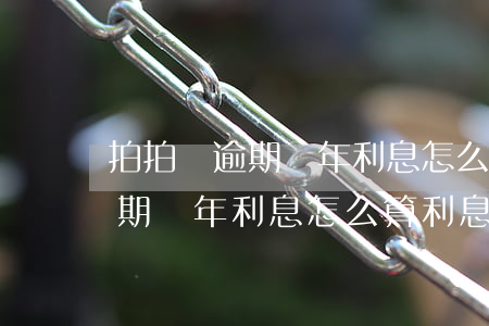 拍拍貸逾期兩年利息怎么算利息-拍拍貸逾期兩年利息怎么算利息的
