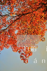 拍拍貸逾期兩年后還會(huì)找聯(lián)系人或通訊錄嗎（拍拍貸逾期2年的后果）