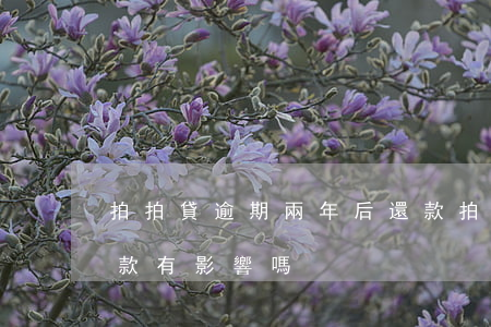 拍拍貸逾期兩年后還款(拍拍貸逾期兩年后還款有影響嗎)