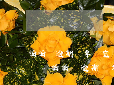 拍拍貸逾期兩年還完還會(huì)打電話嗎-拍拍貸逾期兩年還完還會(huì)打電話嗎是真的嗎