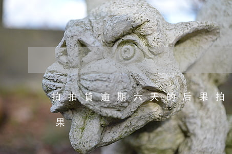 拍拍貸逾期六天的后果 拍拍貸逾期六天的后果