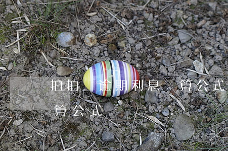 拍拍貸逾期利息計算公式(拍拍貸逾期利息計算公式)