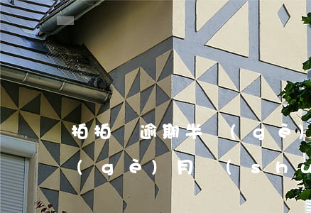拍拍貸逾期半個(gè)月 拍拍貸逾期半個(gè)月說(shuō)明天上門是真的嗎