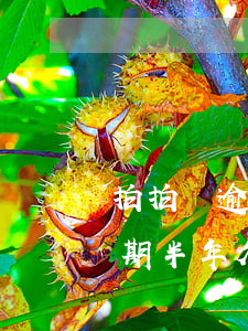 拍拍貸逾期半年欠一萬會怎么樣-拍拍貸逾期半年欠一萬會怎么樣處理