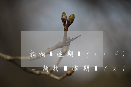 拍拍貸逾期協(xié)商還了本金安全嗎-拍拍貸逾期協(xié)商還了本金安全嗎是真的嗎