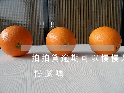 拍拍貸逾期可以慢慢還嗎(拍拍貸逾期可以慢慢還嗎)