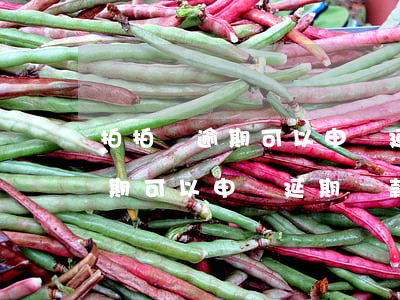 拍拍貸逾期可以申請延期還款嗎-拍拍貸逾期可以申請延期還款嗎