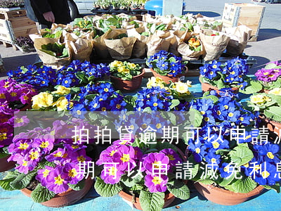 拍拍貸逾期可以申請減免利息嗎-拍拍貸逾期可以申請減免利息嗎是真的嗎