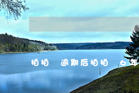 拍拍貸逾期后(拍拍貸6年多沒還了)