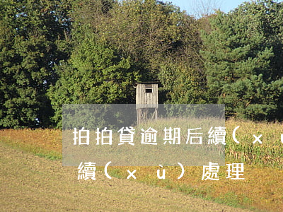 拍拍貸逾期后續(xù)處理(拍拍貸逾期后續(xù)處理)