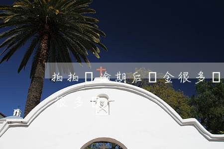拍拍貸逾期后罰金很多嗎 拍拍貸逾期后罰金很多嗎