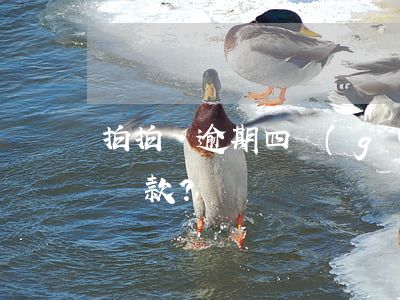 拍拍貸逾期四個(gè)月，如何辦理延期或還款？
