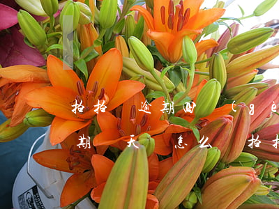 拍拍貸逾期四個(gè)月怎么辦(拍拍貸逾期兩天會怎么樣?拍拍貸逾期后果介紹)