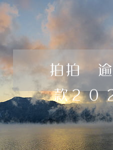 拍拍貸逾期四天人工催收要求中午12點還款2021年（拍拍貸逾期四天）