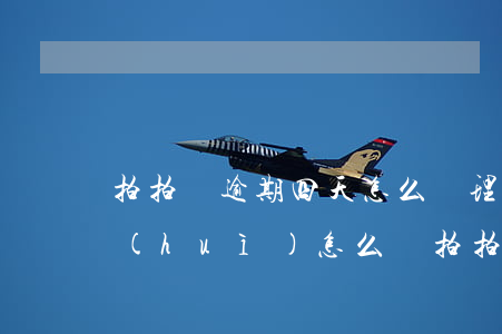 拍拍貸逾期四天怎么處理(拍拍貸逾期兩天會(huì)怎么樣?拍拍貸逾期后果介紹)